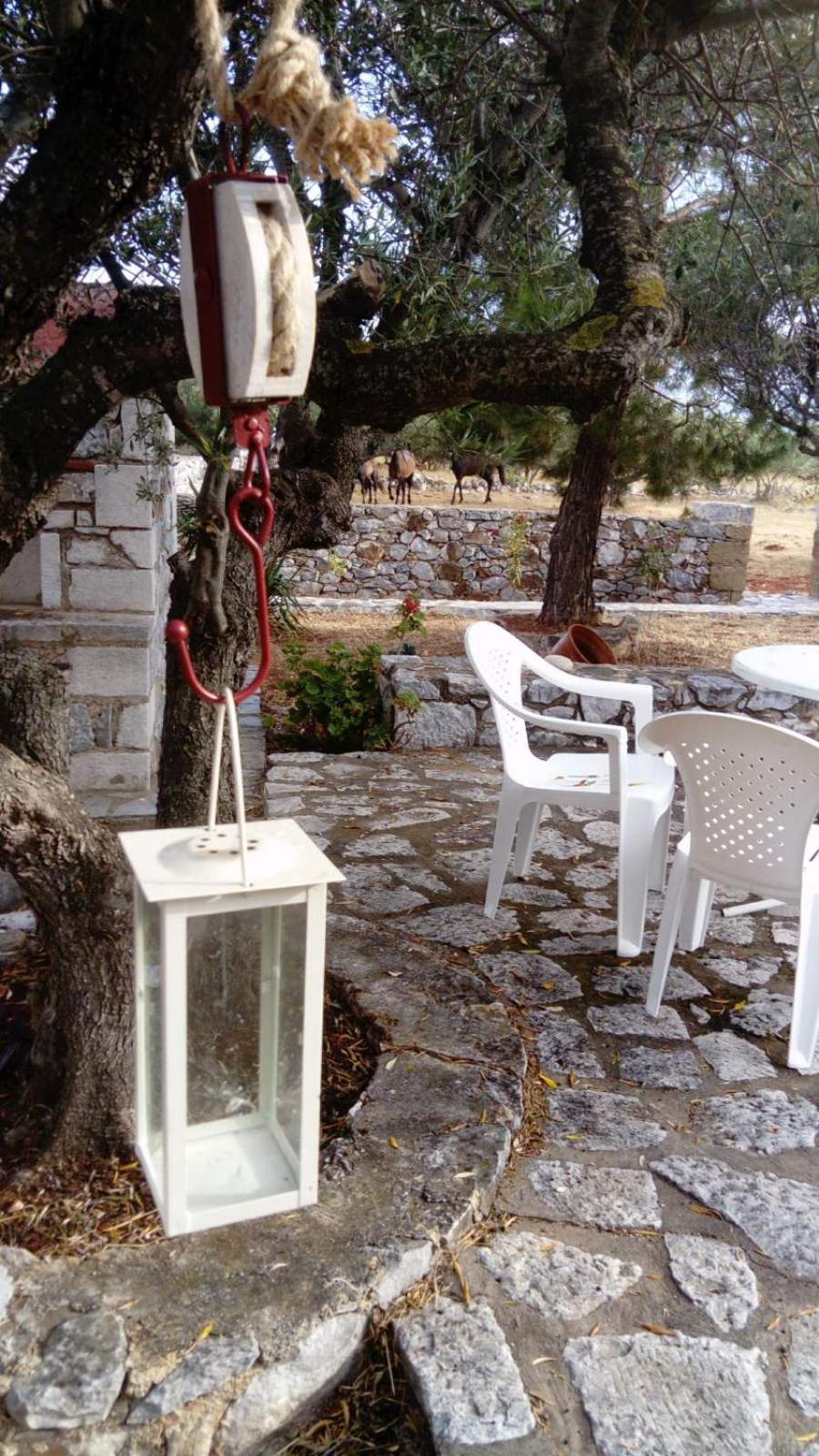 Appartement Charouda Stone Tower Xenonas à Pírgos Dhiroú Extérieur photo