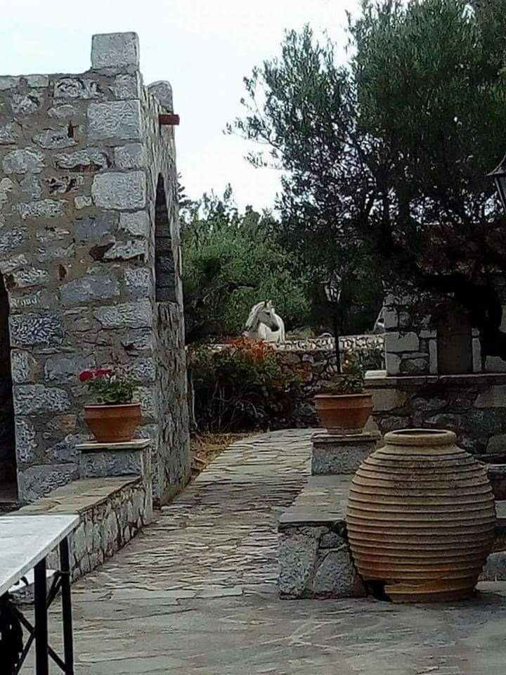 Appartement Charouda Stone Tower Xenonas à Pírgos Dhiroú Extérieur photo