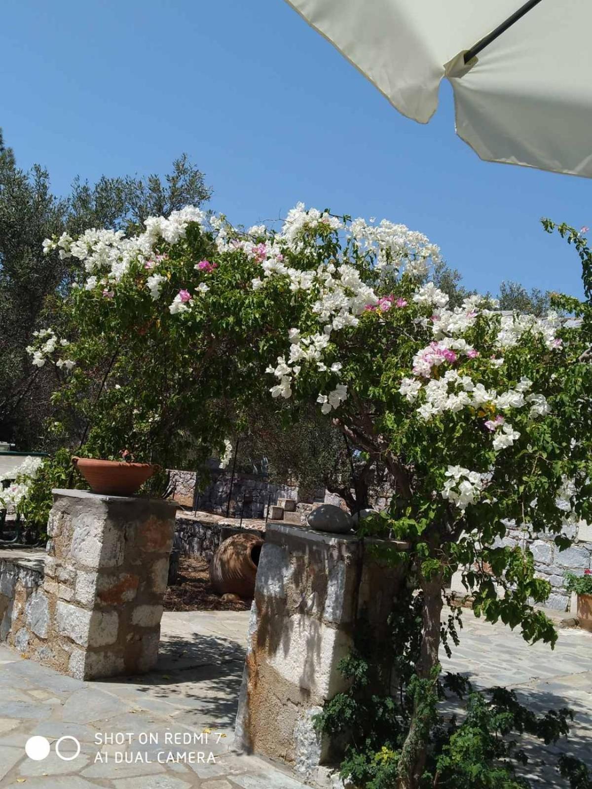 Appartement Charouda Stone Tower Xenonas à Pírgos Dhiroú Extérieur photo